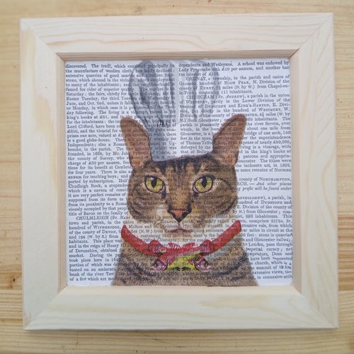 Cadre chat cuisinier