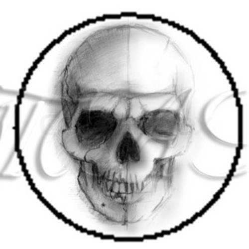 2 cabochons à coller tête de mort  skull 14  en verre 16 mm