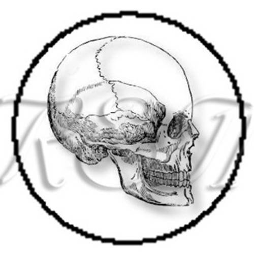 2 cabochons à coller tête de mort  skull 19  en verre 16 mm
