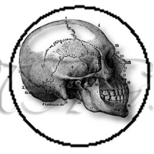 2 cabochons à coller tête de mort  skull 20  en verre 16 mm