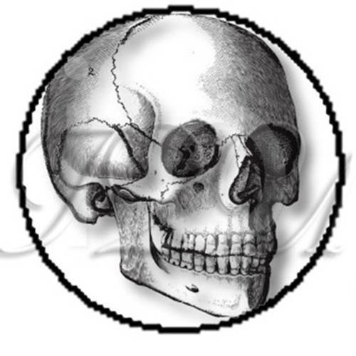 2 cabochons à coller tête de mort  skull 27  en verre 20 mm