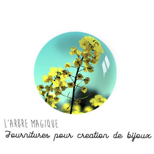 2 cabochons à coller fleurs en verre 20 mm n852