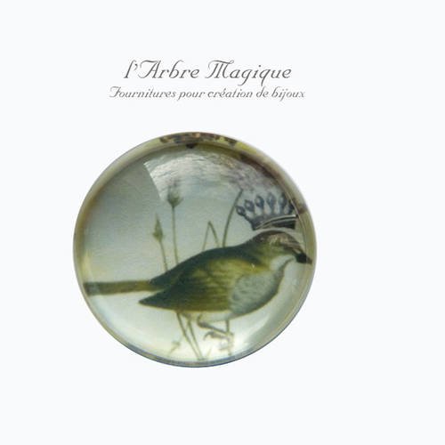 2 cabochons à coller oiseaux en verre 20 mm - a279