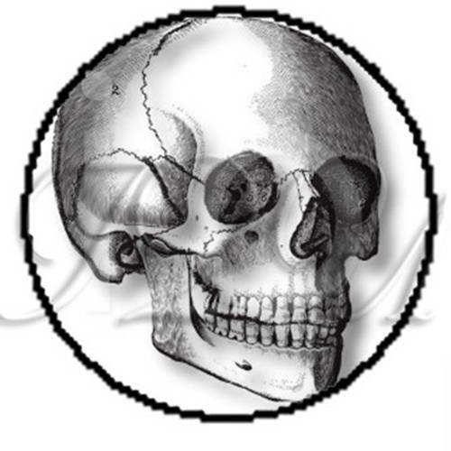 2 cabochons à coller tête de mort  skull 27  en verre 14 mm 