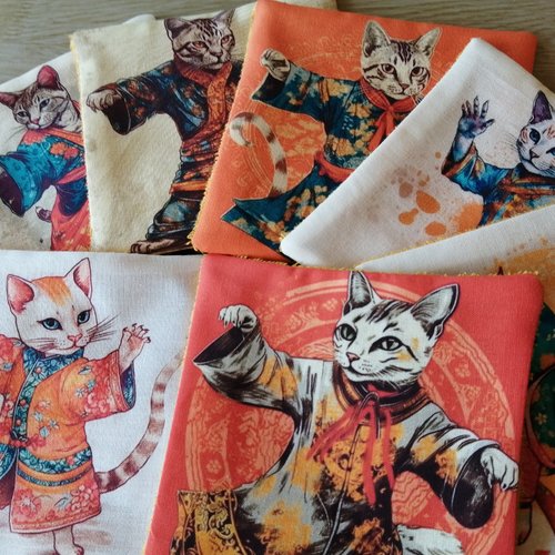 Semainier de lingettes démaquillantes lavables en coton et éponge de bambou / chat kung-fu / lot de 8 / zéro déchet