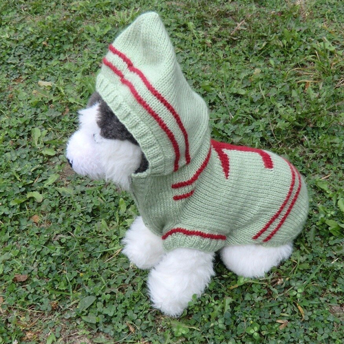 Manteau petit chien, pull à capuche, tricoté main en laine, vêtement pour caniche, bichon, yorkshire,  accessoire mode animaux