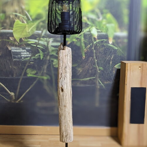 Lampe à poser en bois flotté : une sculpture lumineuse au look intemporel