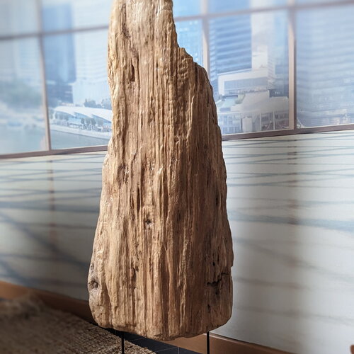 Sculpture en bois flotté : une œuvre d'art organique inspirée par la rivière