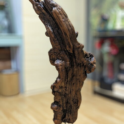 L'âme du bois flotté : sculpture naturelle élégante aux teintes chaleureuses&quot;