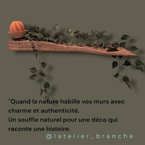 Étagère  en bois flotté- fixation metal