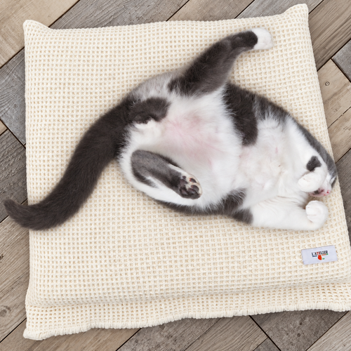 Coussin pour chat et petit chien en mousse à mémoire de forme – 40 × 40 cm – coton nid d’abeille écru