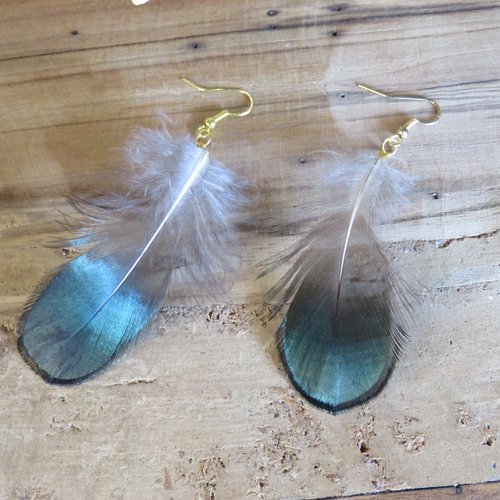 Boucle d'oreille plumes naturelles de faisan de lady amherst verte