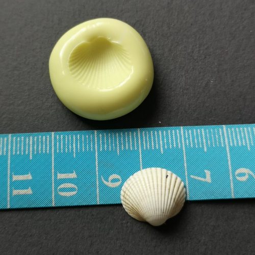 Moule coquillage bucarde 15 mm