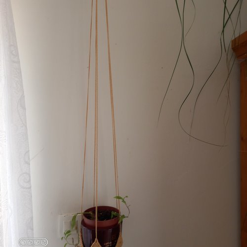 Suspension pour plante au crochet