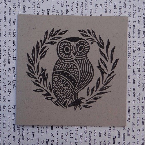 Carte Anniversaire Chouette Un Grand Marche