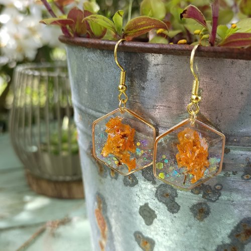 Boucles d'oreilles hexagone doré en résine uv et fleurs séchées