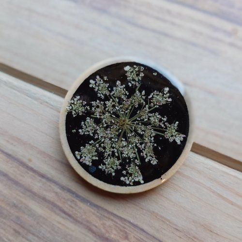 Broche en bois, fleur de carotte, en résine