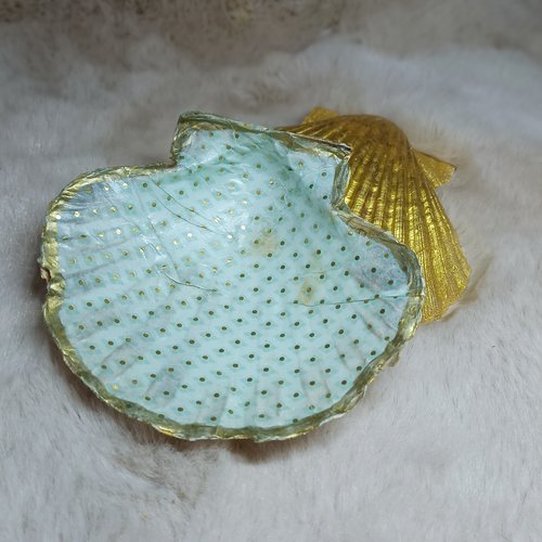 Écrin coquille st jacques, coupelle à bijoux / décoration naturelle / purifier, recharger vos pierres et bijoux
