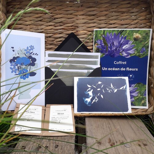 Vide atelier - coffret cadeau kit cyanotype et graines de fleurs bleues