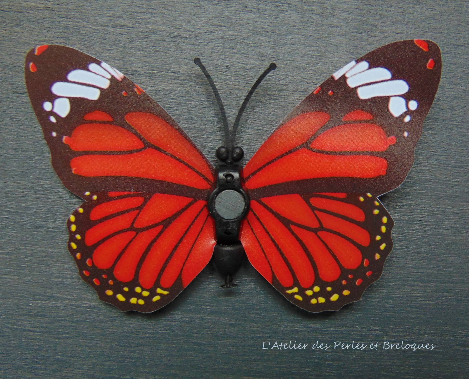 Papillon aimant en 3 d - magnet - 7 cm x 4,6 cm - Un grand marché