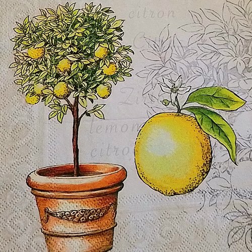 Serviette en papier  ” citronnier vase provençal ”
