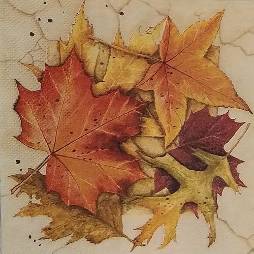 Serviette en papier  feuilles d’automne