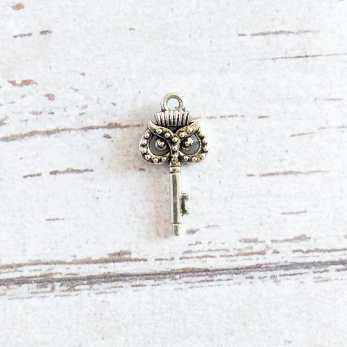 Breloque clefs hiboux argent 21 x 11mm