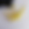 Perles nacré jaune 6mm - x10 | 10080