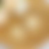 Breloque coquille doré beige émail 23 x 23mm