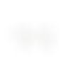 Boucles d'oreilles acier inoxydable argent mat 19mm - x2