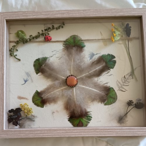 Étoile de paon et lumière de cornaline - petit tableau végétal