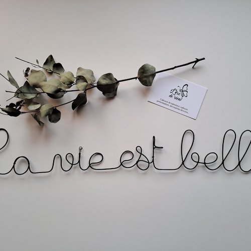 Phrase citation en fil de fer "mieux vaut boire le vin d’ici que l’eau de là !"