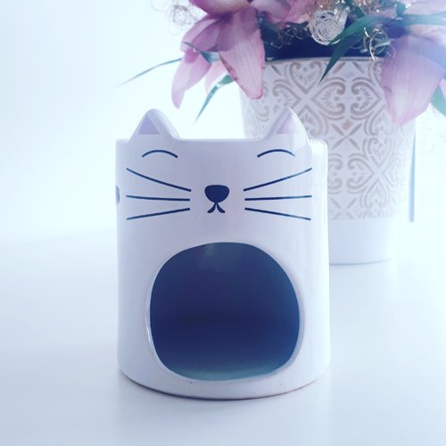 Brule Parfum Chat Blanc Un Grand Marche