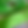 Ruban de satin, double face, france, 38 mm de large, de couleur vert printemps, embellissements, vente au mètre