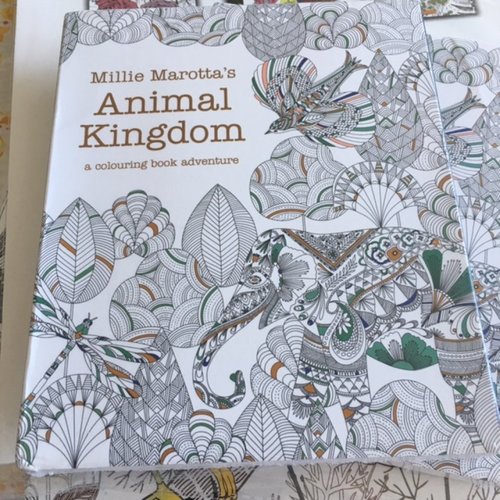 Idée kdo cahier couleurs zen, millie marotta's royauma animal, livre d'aventures, oiseaux, 96 pages, 17.5/14.5 cm, neuf, à l'unité