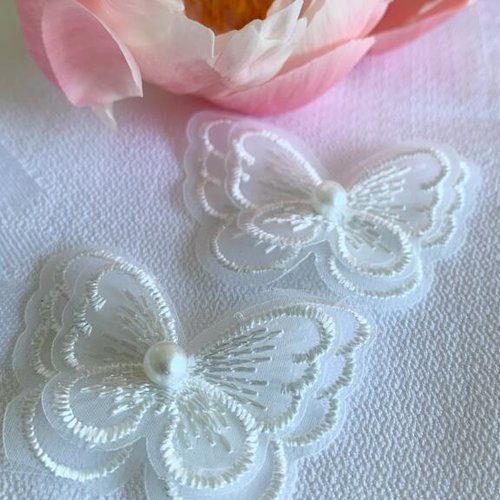 Papillon en tulle brodé, 5 cm/3.5 cm, de couleur blanche, embellissements, décorations, à coudre, vente à la pièce