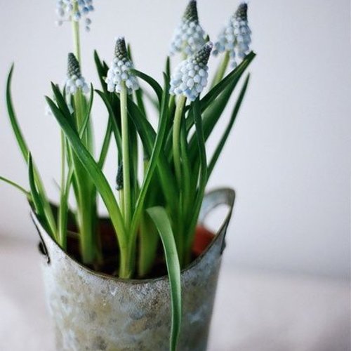 Retour ! réouverture le 20 janvier !