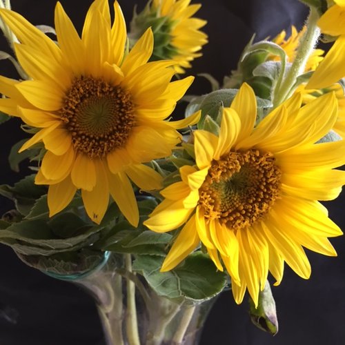 Remise de 12 % sur toute la mercerie, jusqu'au 15 février inclus, avec le code ugmxugehk1