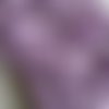 Dentelle en coton, du puy en velay,  largeur 2 cm, couleur lilas, neuve, vendue au mètre