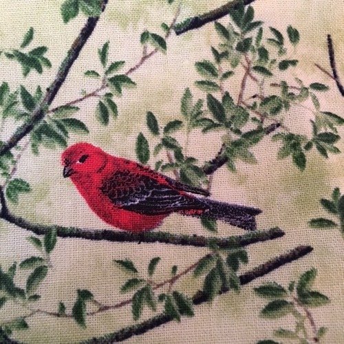 Tissu en coton, patchwork, thème des oiseaux, fond vert doux, branches et volatiles de toutes couleurs, 51/46 cm
