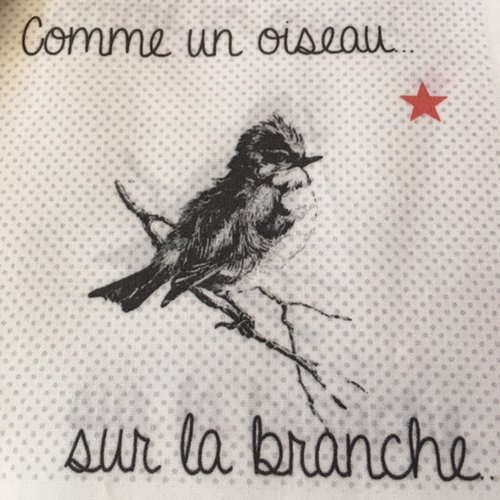 Noël : coupon imprimé, " comme un oiseau sur la branche",  blanc gris rouge,  11 cm / 11 cm,  france, neuf, vente à la pi