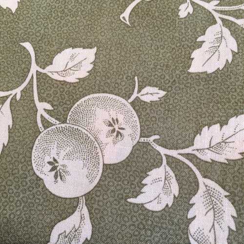 Tissu moda, brannock ans patek fond taupe, fruits écru branches, 53/44 cm, au coupon