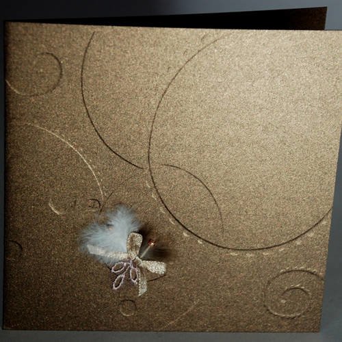 Carte dentelle avec plumes et rubans,bronze irisé n°10