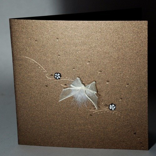 Carte dentelle avec plumes et rubans,bronze irisé n°16