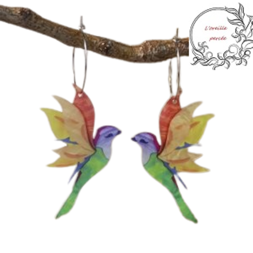 Boucle d'oreille créole oiseau coloré