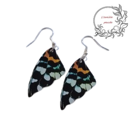 Boucle d'oreille aile acrylique