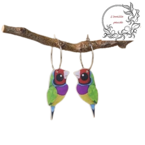 Boucle d'oreille créole oiseau coloré