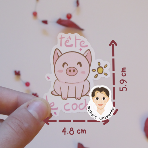 Autocollant / sticker “tête de cochon” - collection “animaux et jeux de mots”