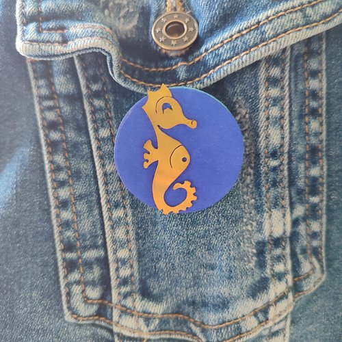Broche hippocampe