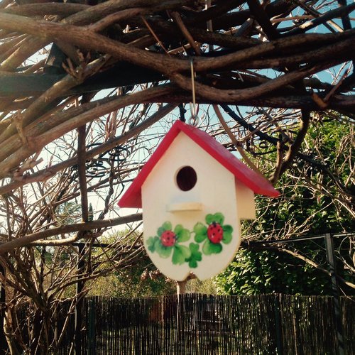 Nichoir à oiseaux en bois